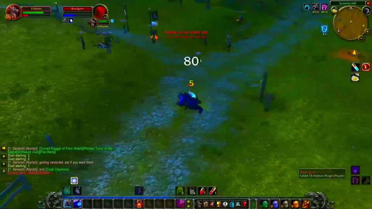 Druid pvp - lightshope vanilla WoW