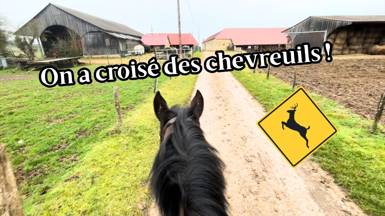 Mini-Vlog en repérage de chemin ! 