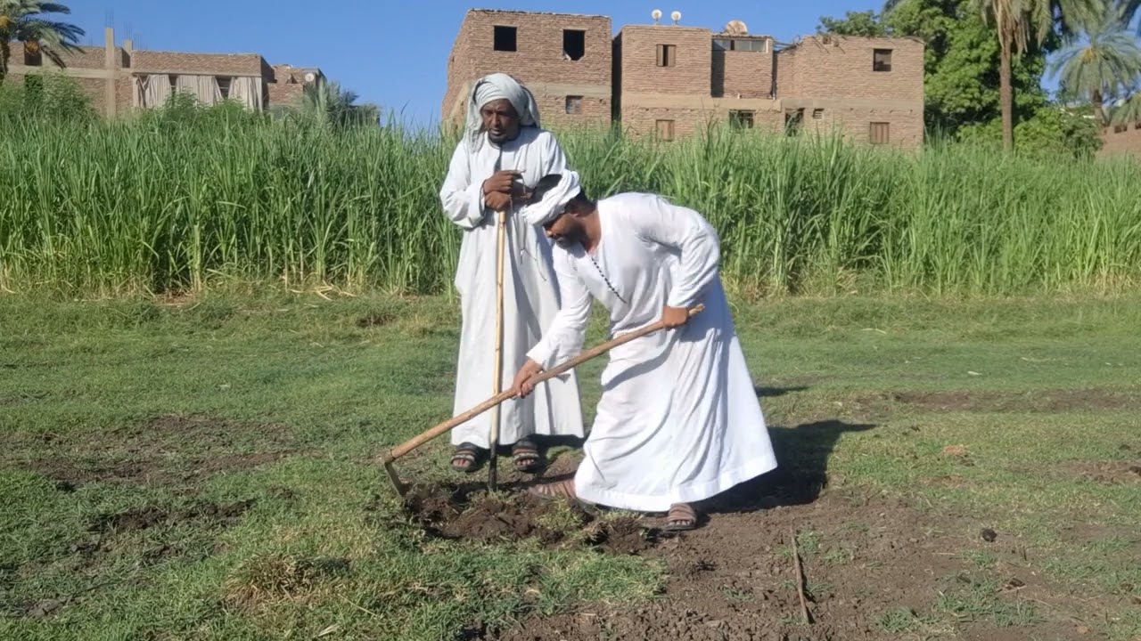 عصام عيز يزرع الحد عشان يبقا غني وعامل فيه شيخ