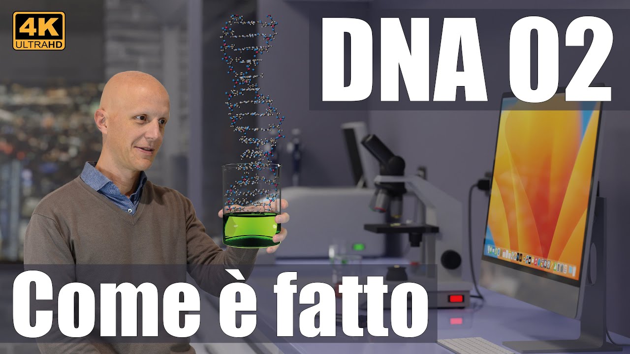 DNA 02: Come è fatto (Struttura del DNA e modello 3D animato 4K UHD)