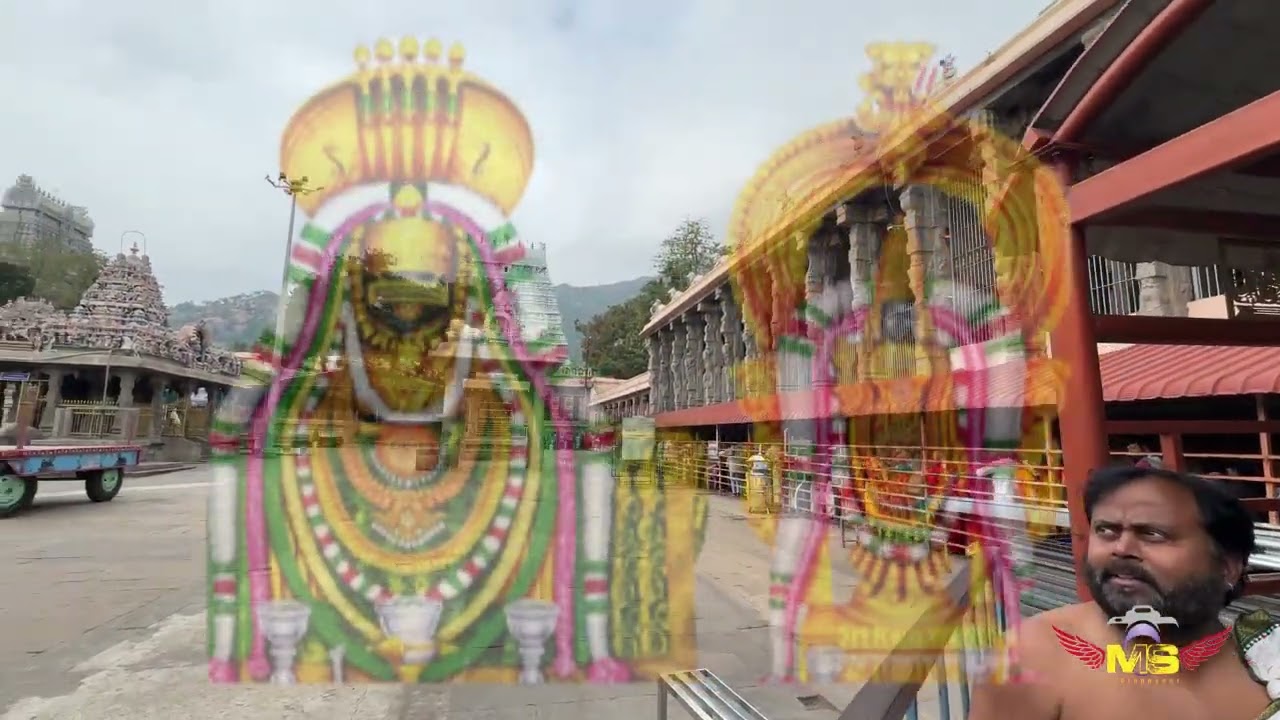 Tiruvannamalai Temple 11- 01- 2026
