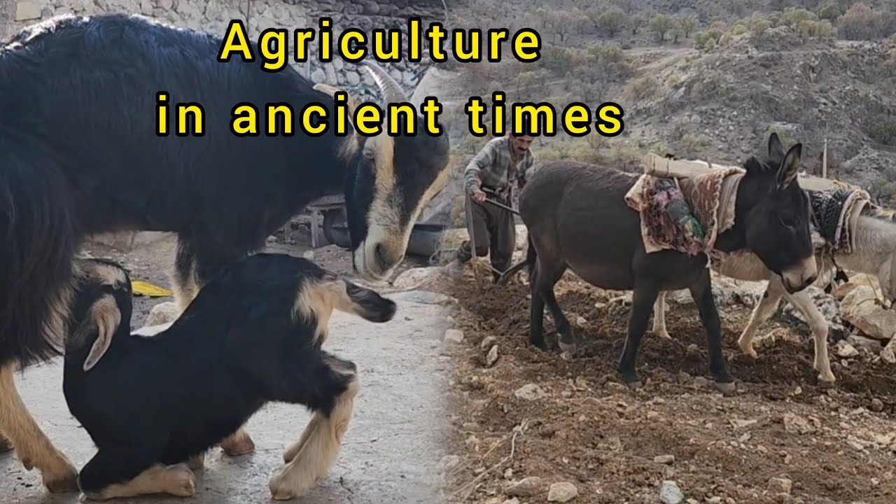 Agriculture listens