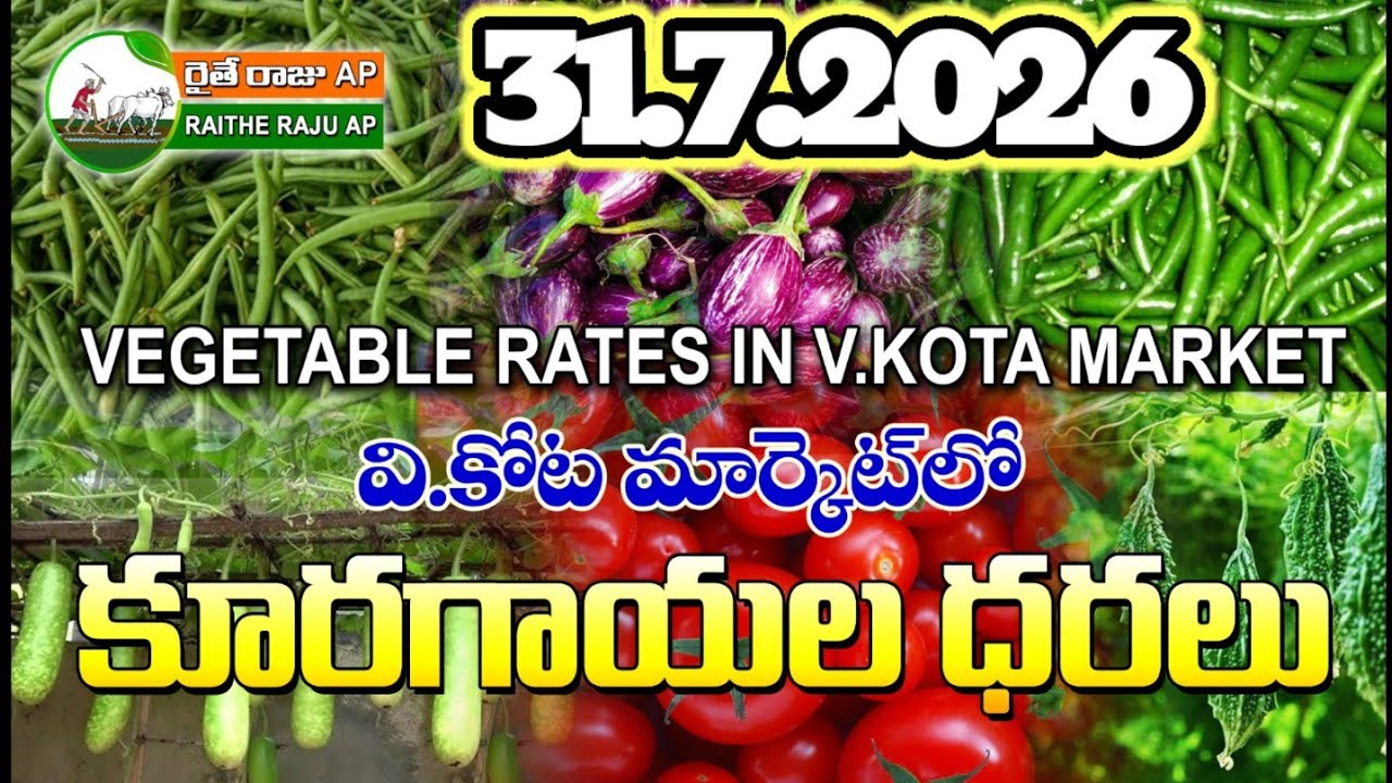#AMC V.KOTA TODAY BEANS PRICE IN MARKET #ALL VEGETABLE PRICES #marigold 