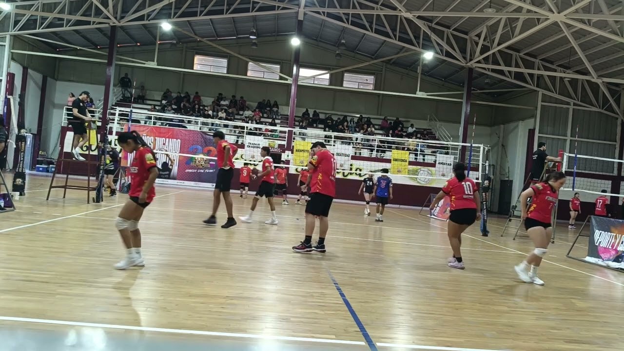 Firewolves X vs Lobos Domesticados ENFT 🔥🐺