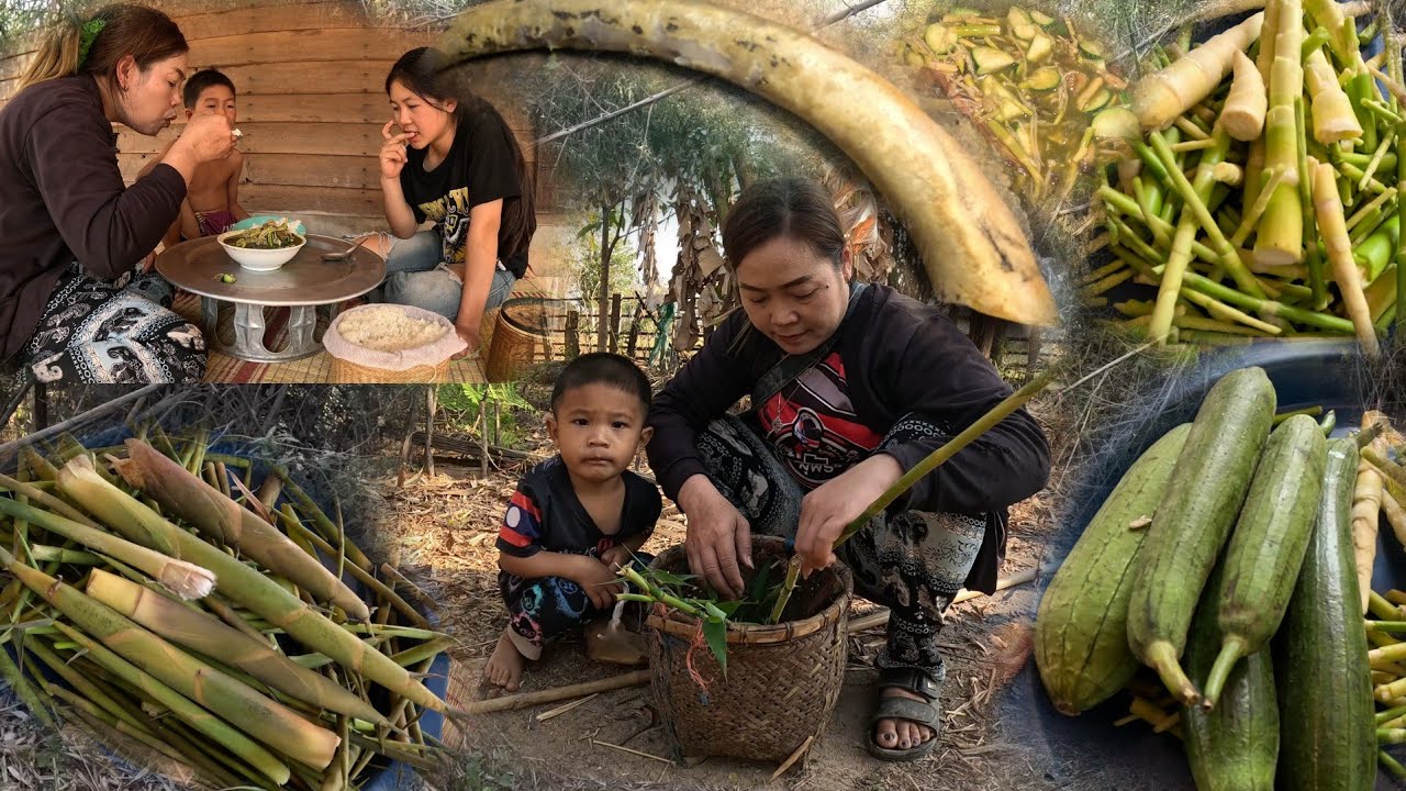 8 กุมภาพันธ์ ค.ศ. 2026