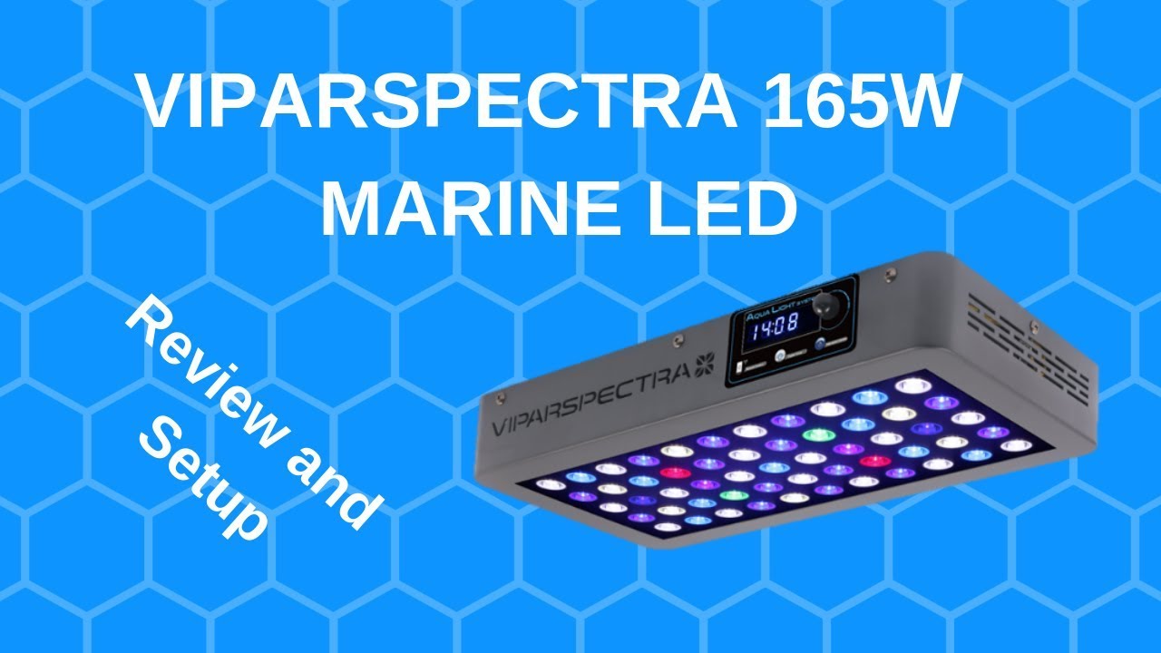 ViparSpectra 165w LED Aquarium Light - Review and Setup