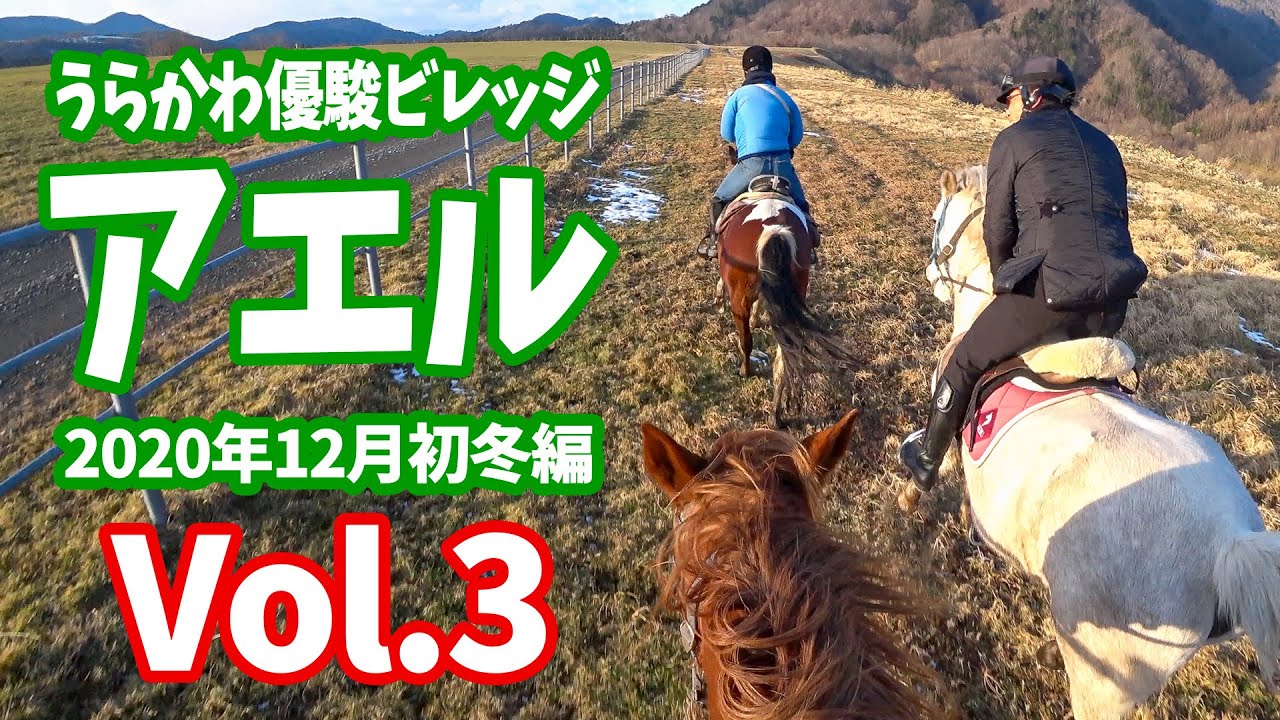 【外乗乗馬旅】「うらかわ優駿ビレッジアエル」初冬編最終章Vol.3。BTCの丘から超絶美しい日高の風景を感じる