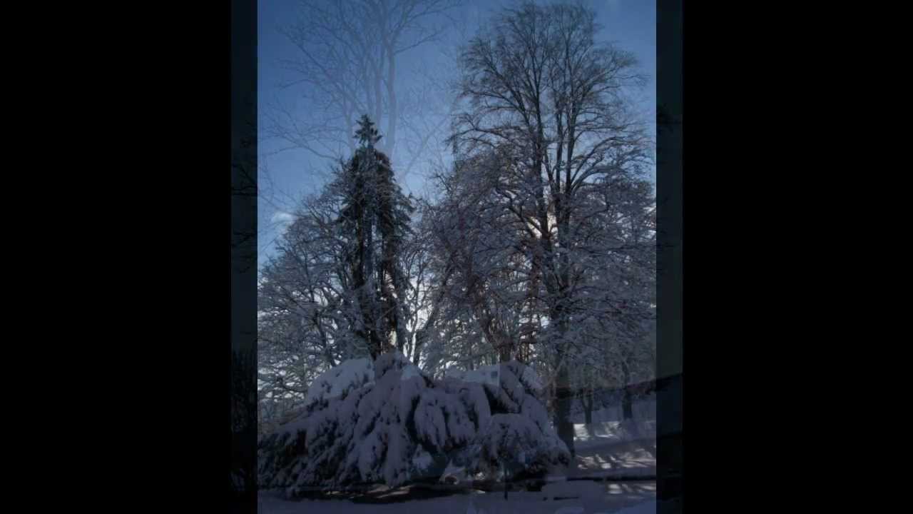 W A Mozart Sinfonia Concertante KV 364: Andante arranged for string sextet ca. 1800
