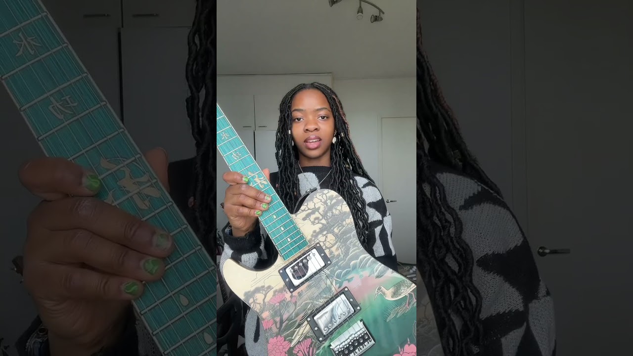 My guitar collection