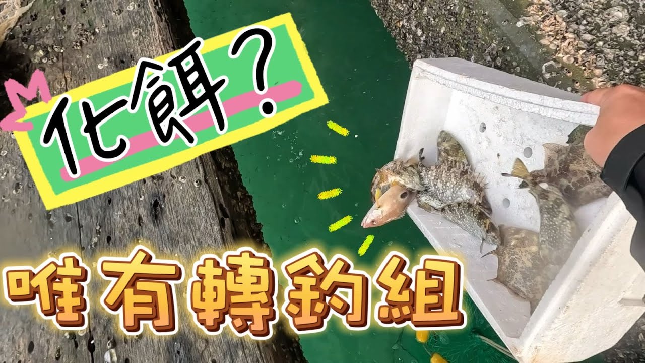 [莊底釣遊記#02] 想釣大魚結果遇到化餌大軍 泥猛星點密密手 仕掛釣組 #fishing #香港釣魚 #岸釣 #筏仔