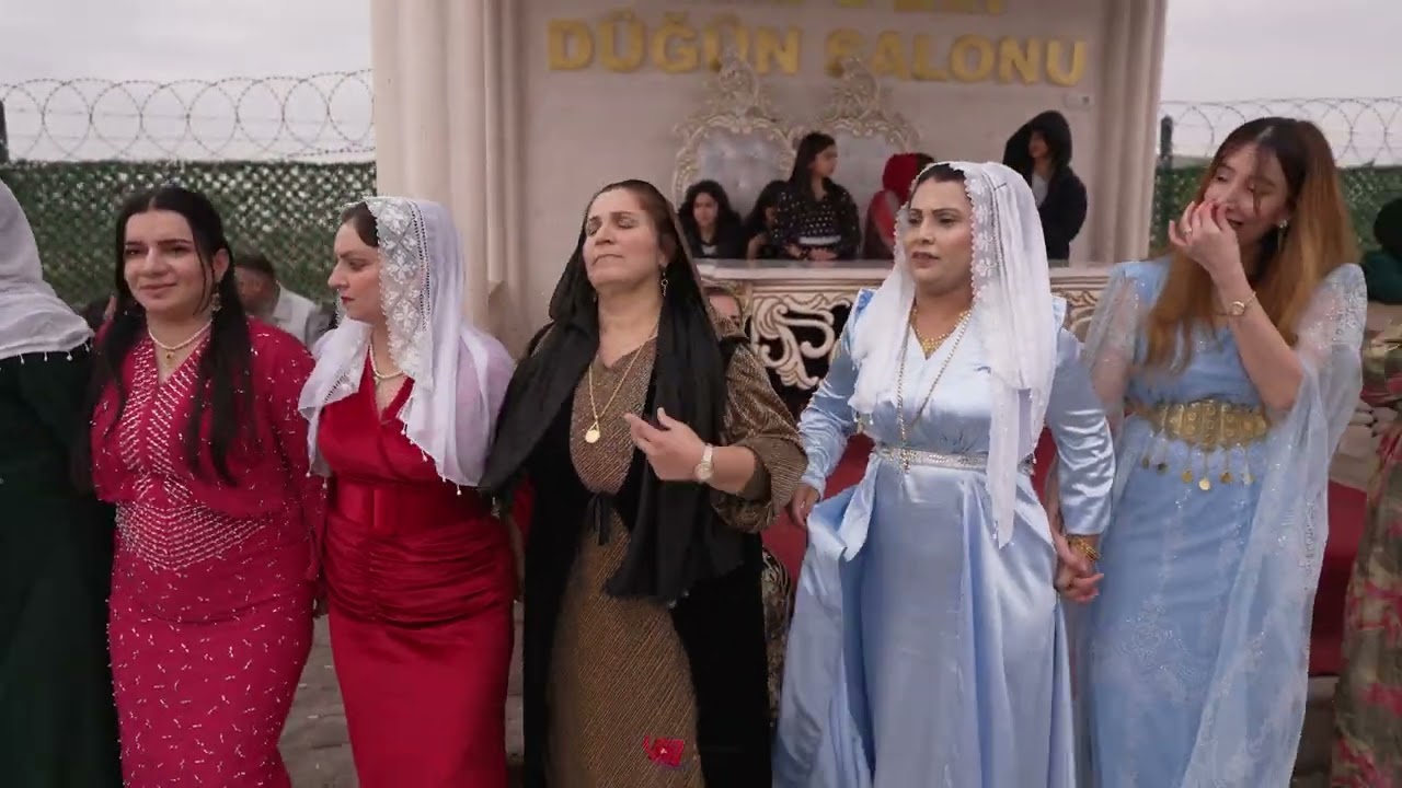 Mesut Benzer Dügünü Part 4 ( Grup Hozan Azad Silopi ) 2025