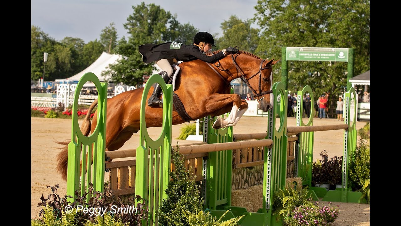 2019 USHJA INTERNATIONAL HUNTER DERBY Upperville Horse Show CupidoZ & Kat Fuqua