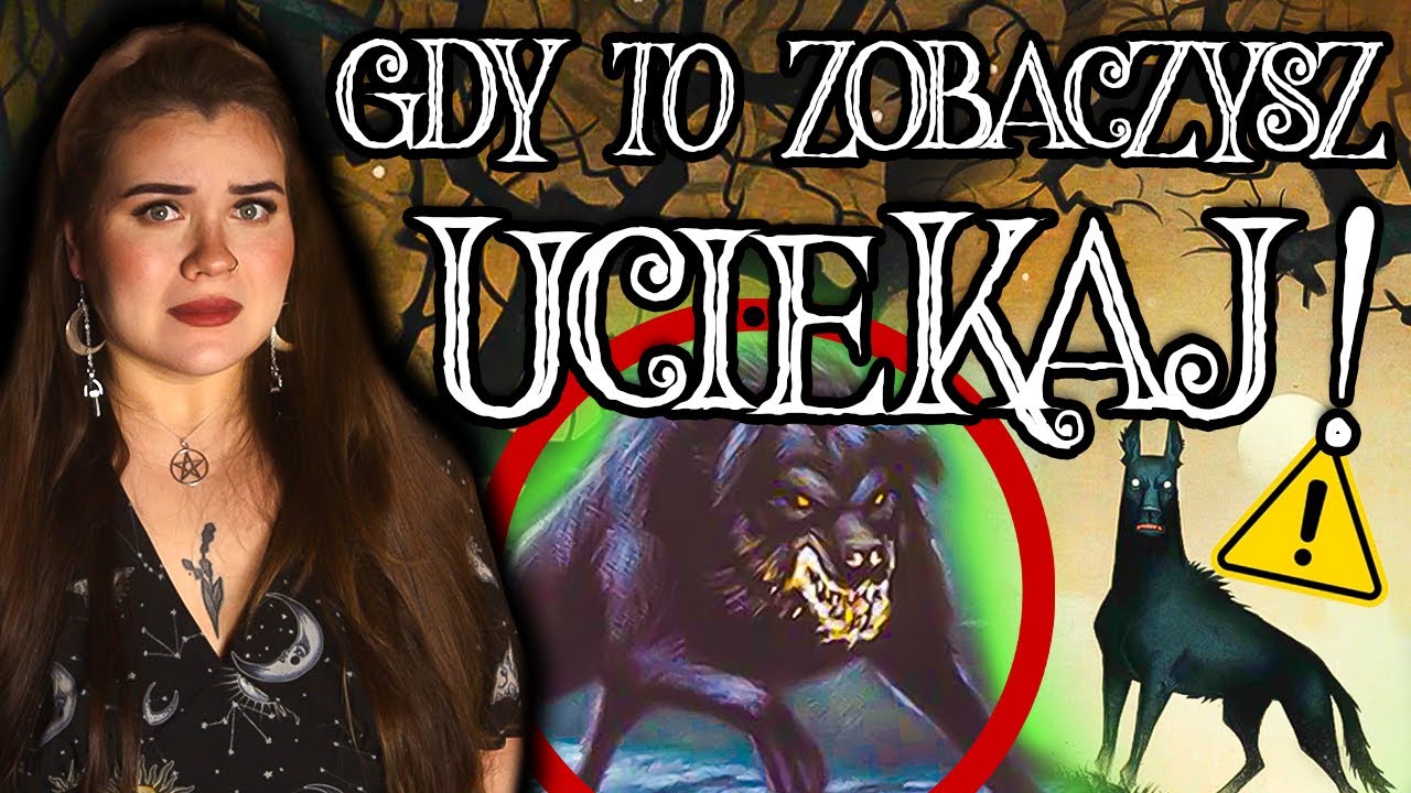 GDY TO ZOBACZYSZ - UCIEKAJ 😨 DEMONICZNE WIDMO CZARNEGO PSA 💀 ISTOTA Z INNEGO WYMIARU CZY LEGENDA?