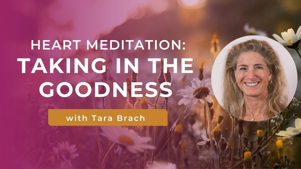 Taking in the Goodness | Heart Meditation with Tara Brach