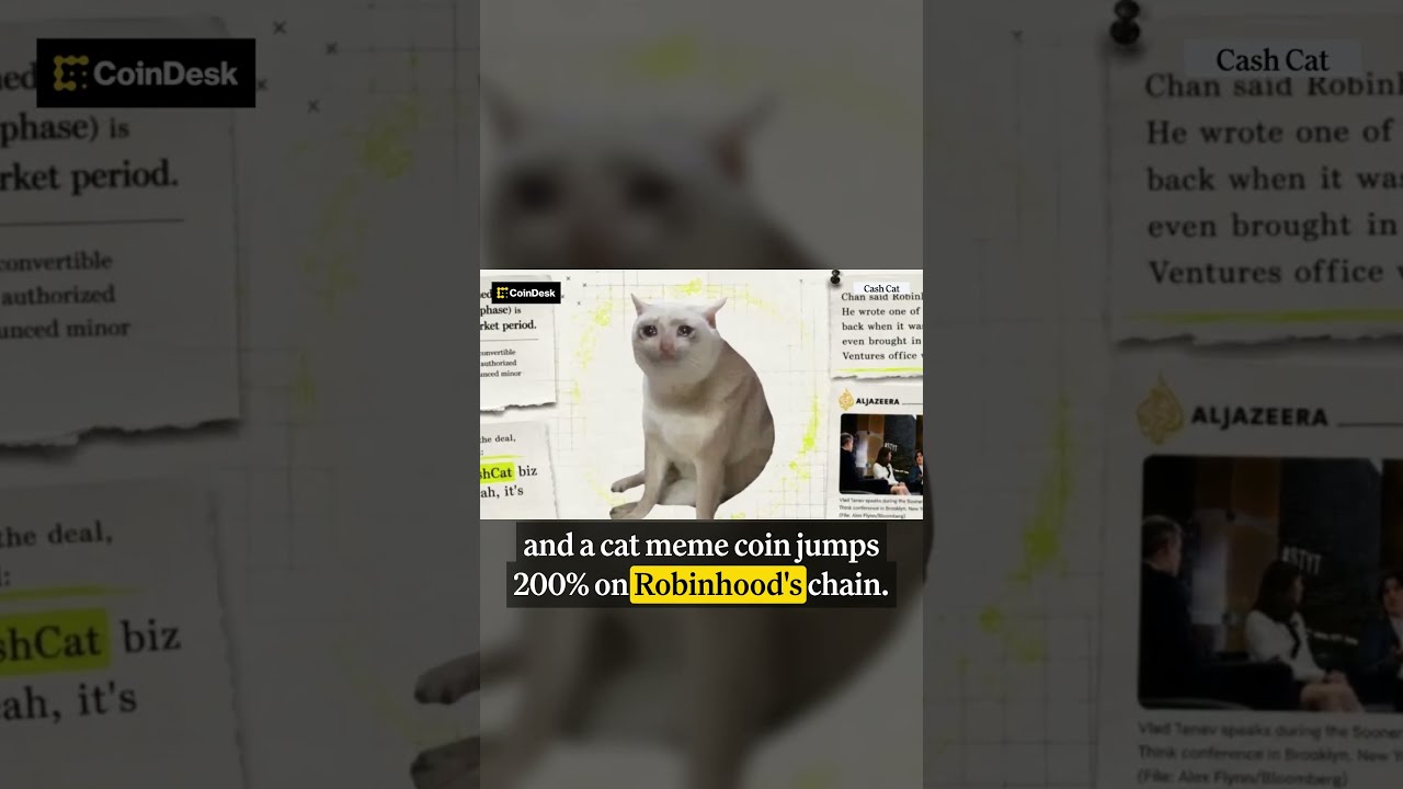 Акции компаний по хранению данных для ИИ обвалились: идет ли переток капитала?