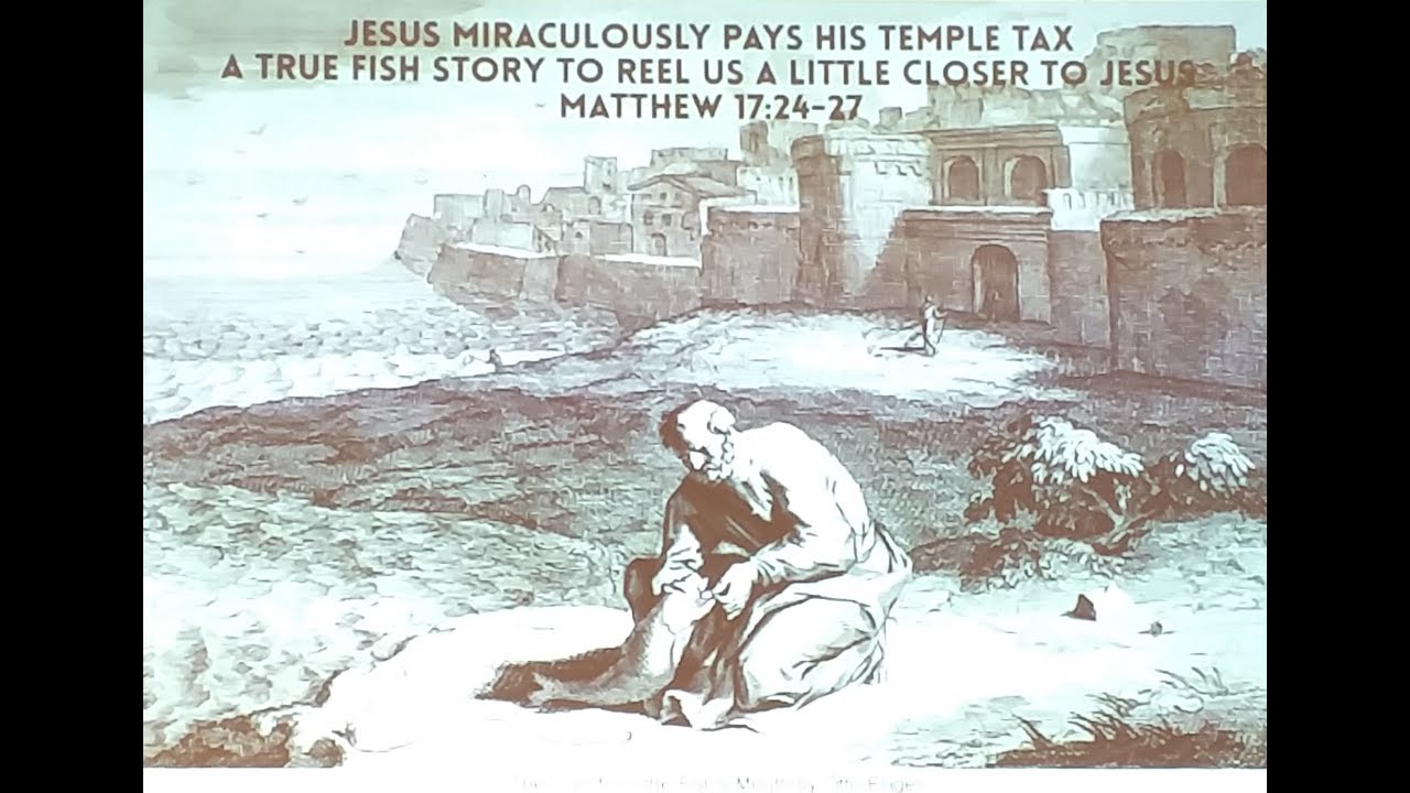 Jesus Miraculously Pays His Temple Tax : A TRUE Fish Story -Matthew 17 : 24 to 27