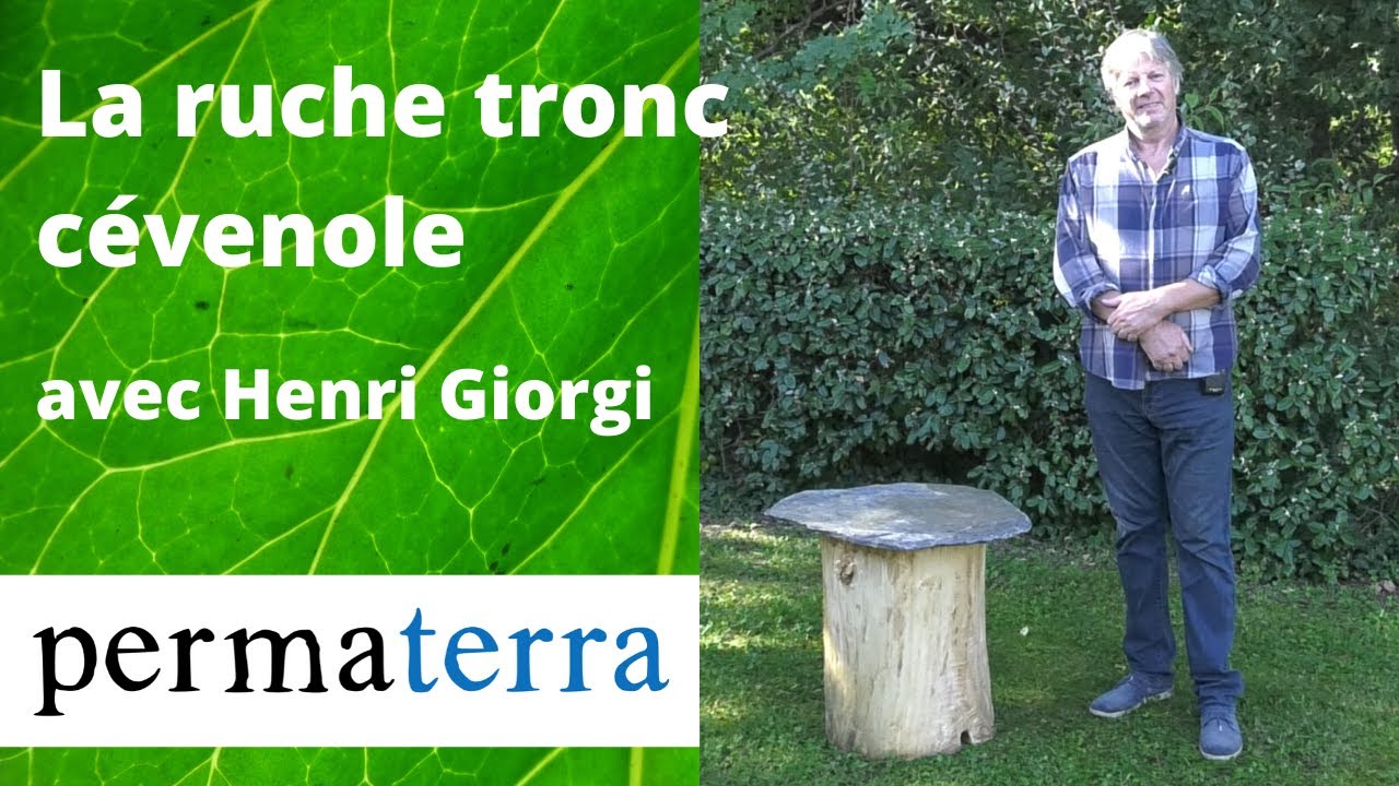 La ruche tronc cévenole avec Henri Giorgi
