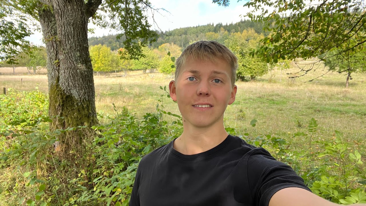 Day 28 – My experience from Germany
