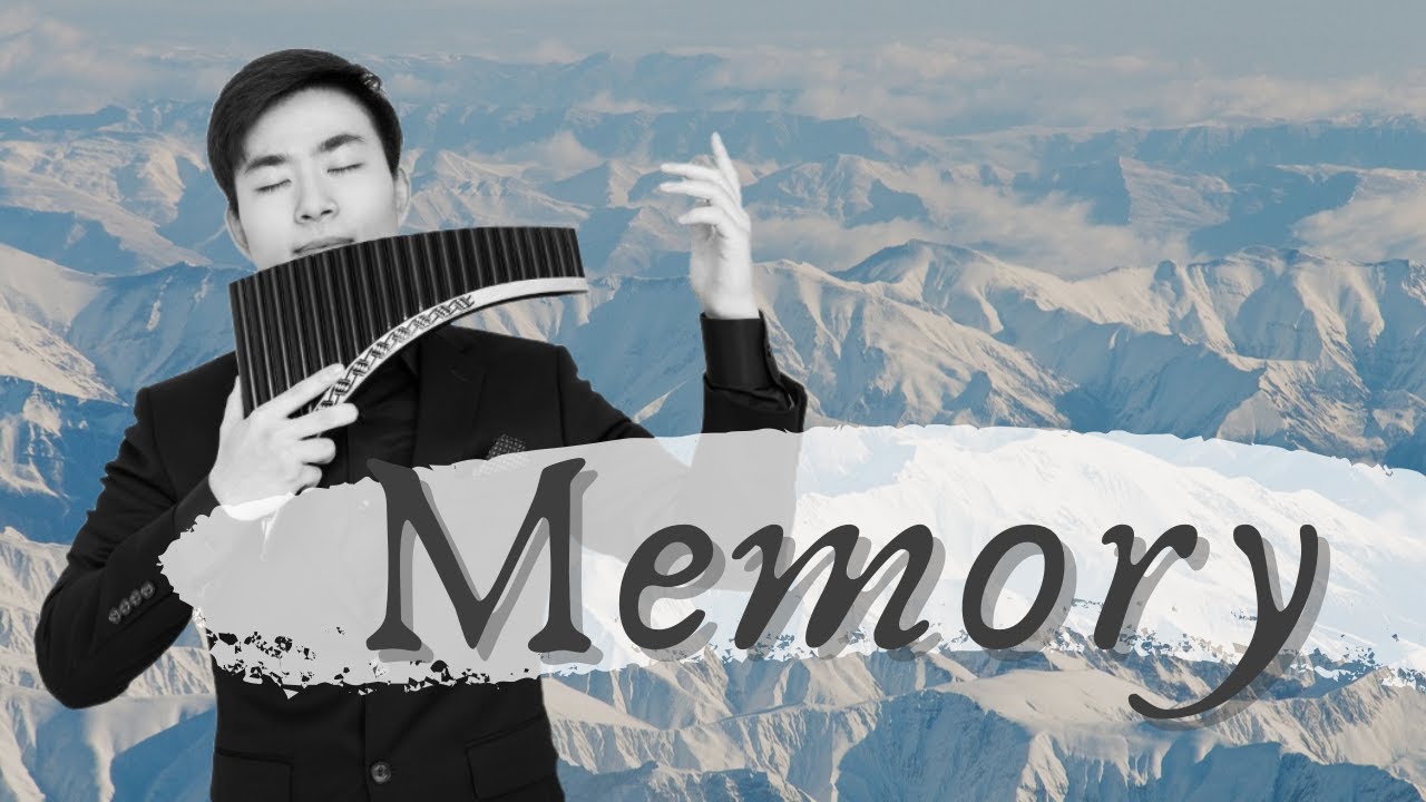 Memory (Cats)-Panflute (NAI)ㅣ[메모리]-팬플룻 ㅣJungJongSoo(정종수)
