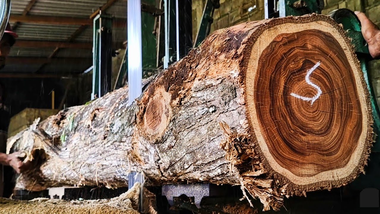 Traditional sawmilling - turning raw wood into beautiful, fibrous pieces 