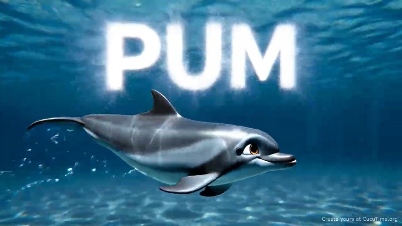 Dora the Dolphin and her Echo Band