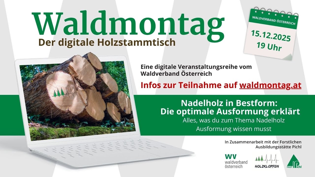 20251216 die richtige Ausformung vom Nadelholz