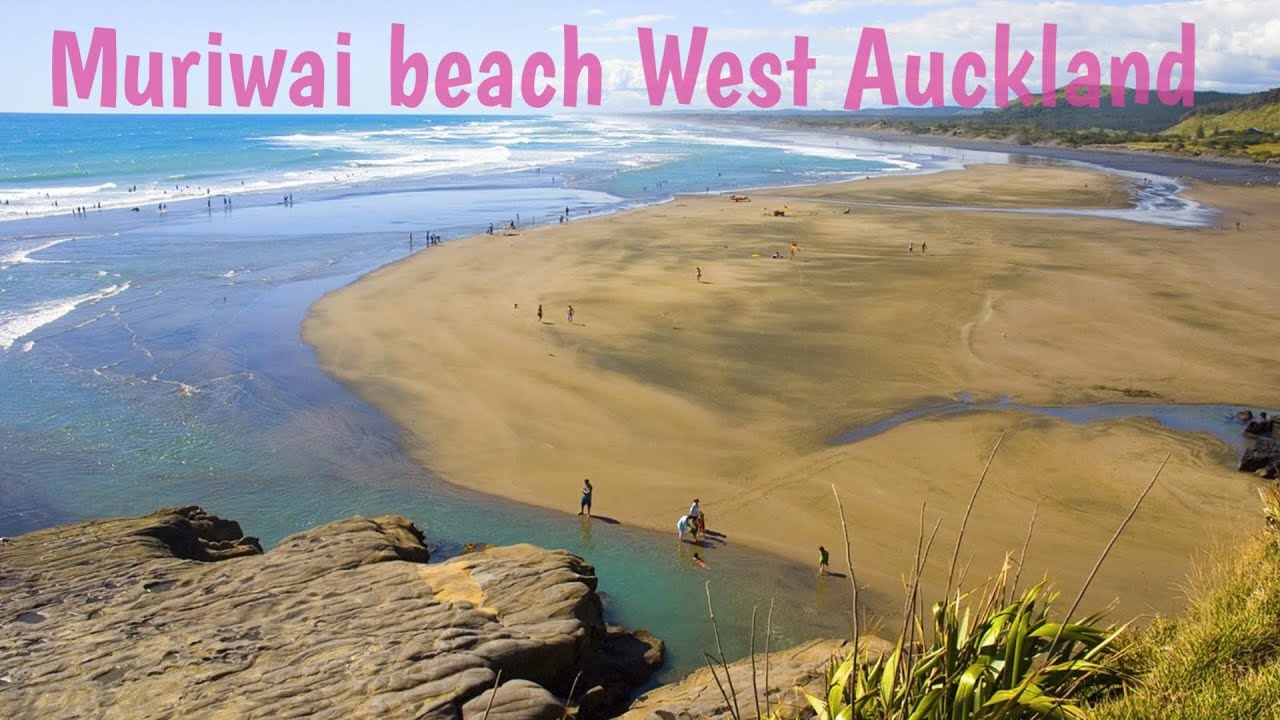 Muriwai Beach, West Auckland New Zealand in 4K Cinematic 🇳🇿 #auckland #beachlife