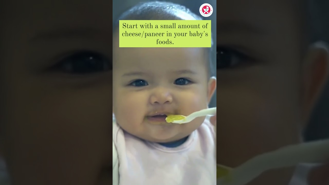 How Much Cheese Can I Offer My Baby .