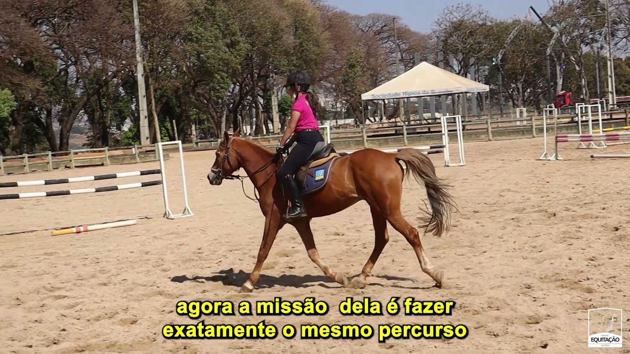 Treino de tempo ideal