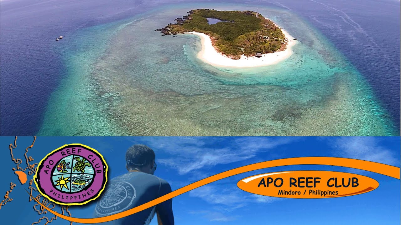 APO REEF DIVING - Apo Reef Club Aerial Video