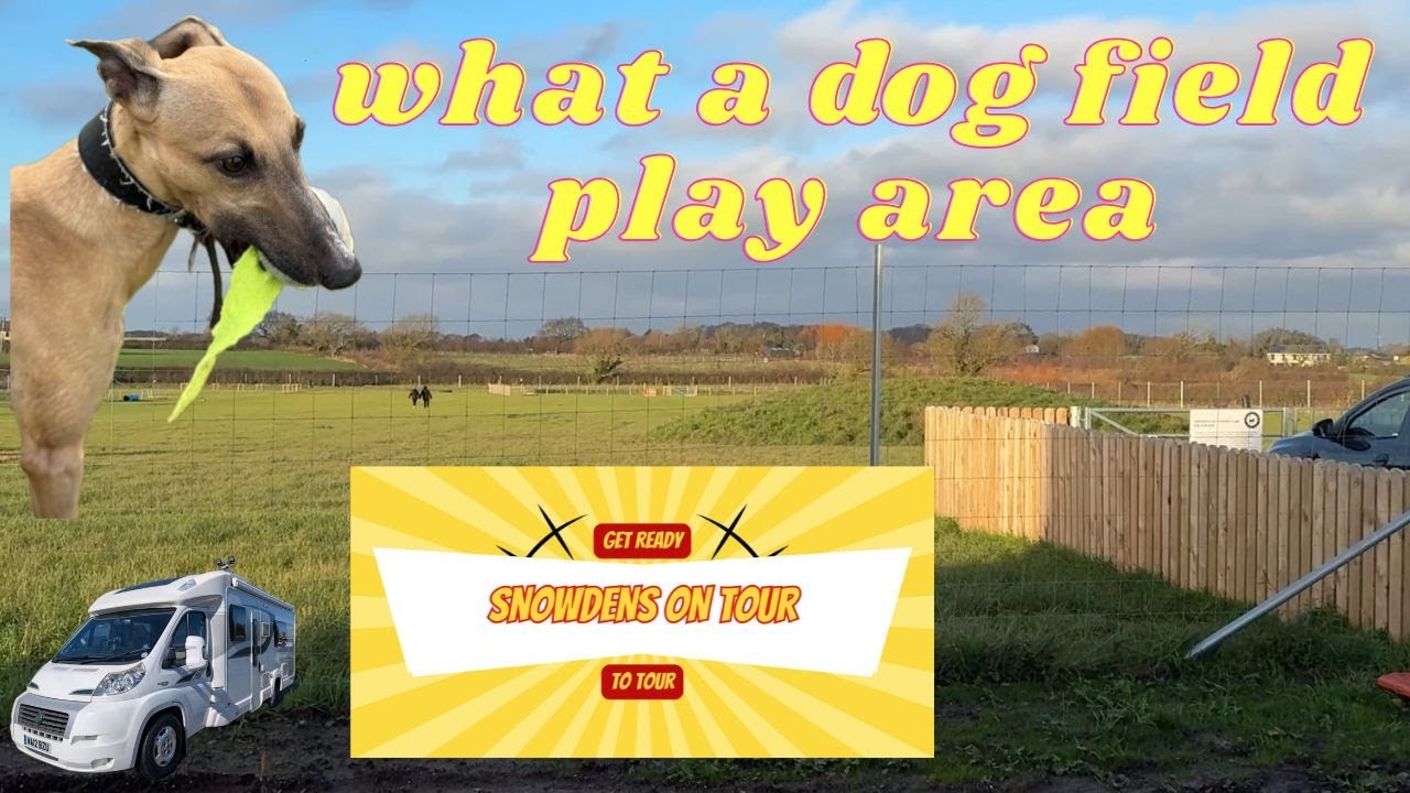 motorhome dog field stop off - lancashire