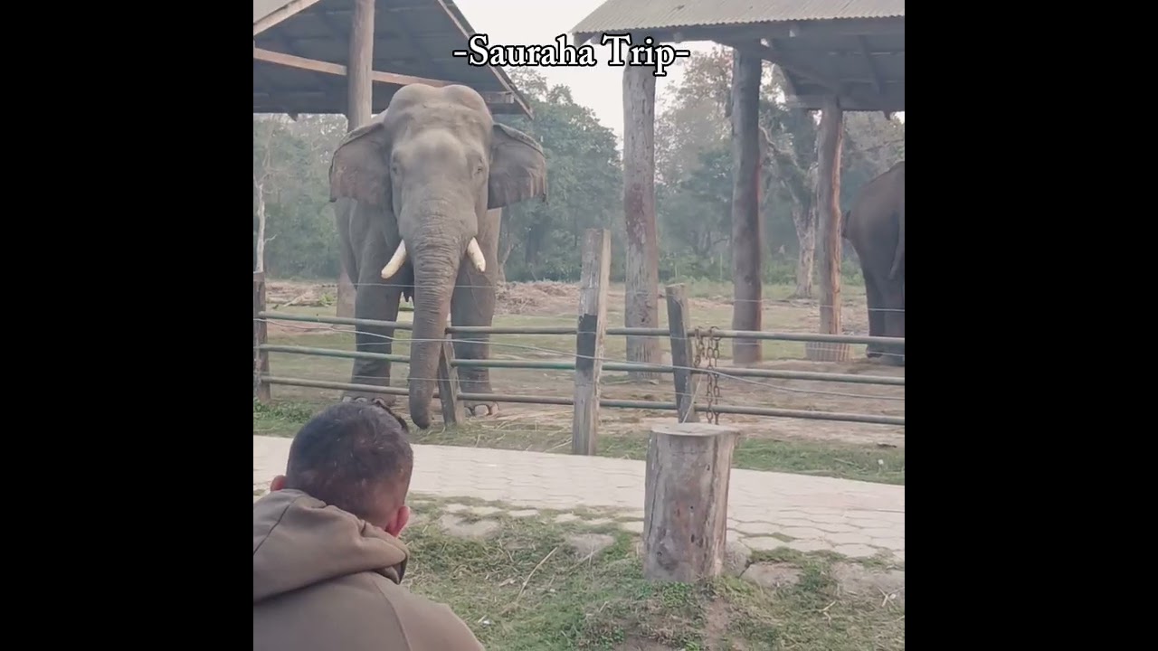 Sauraha Trip - 