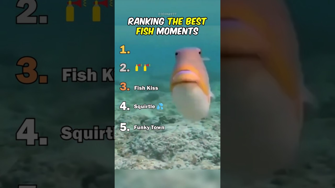 Ranking The Best Fish Moments