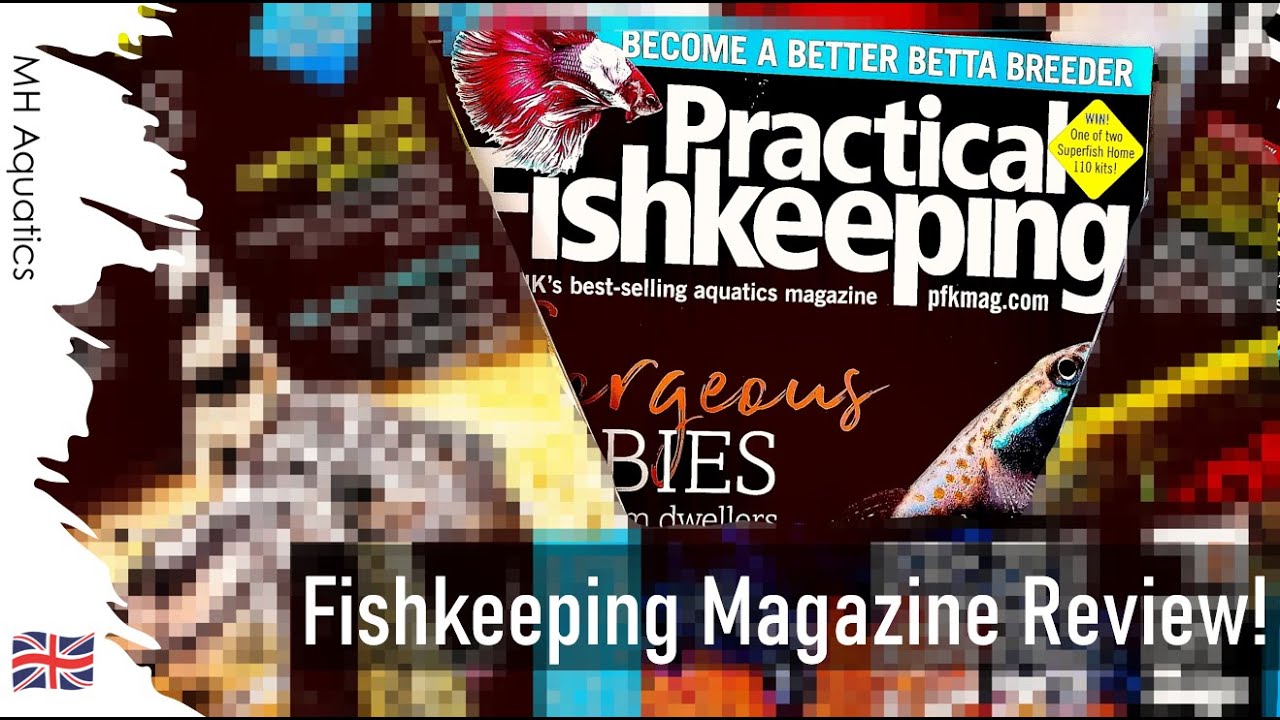 WATCH Before You Buy | Practical Fishkeeping Magazine Review