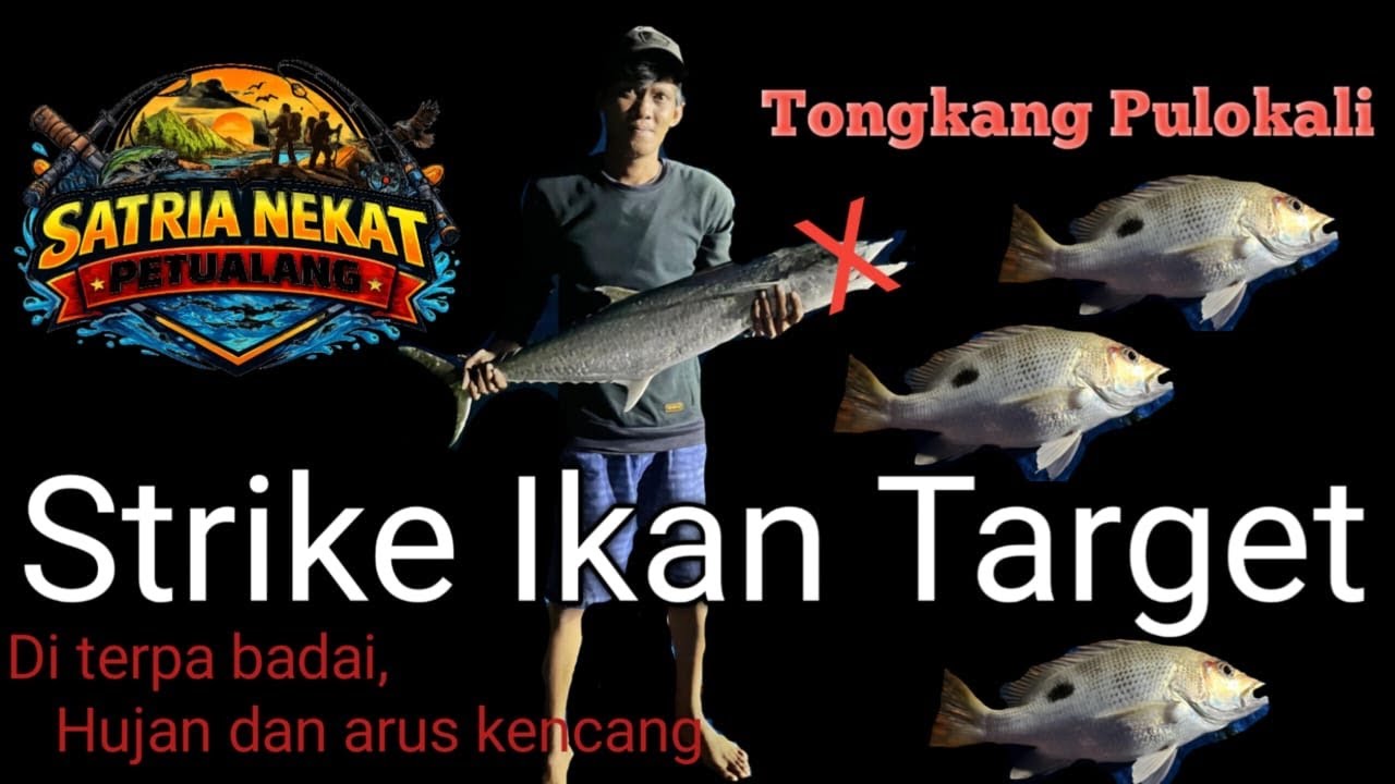 Spot Tongkang Pulokali MWAAANTEP‼️SATRIA NEKAT