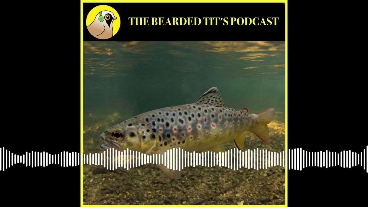 Using AI to Record Fish Numbers ft Jeff Tuhtan #170