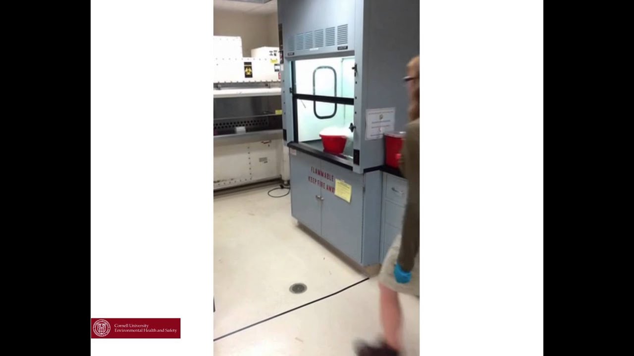 The Difference Between Fume Hoods and Biosafety Cabinets