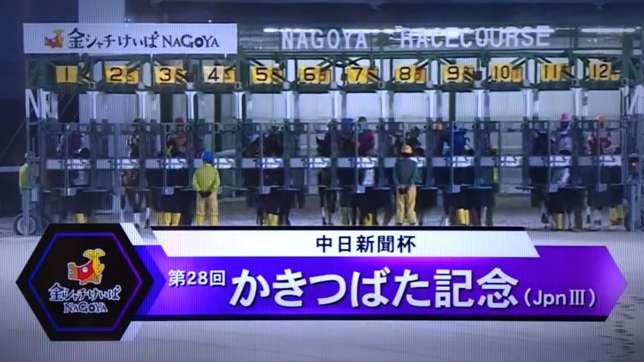 2026/2/23 名古屋7R 第28回かきつばた記念(Jpn3)