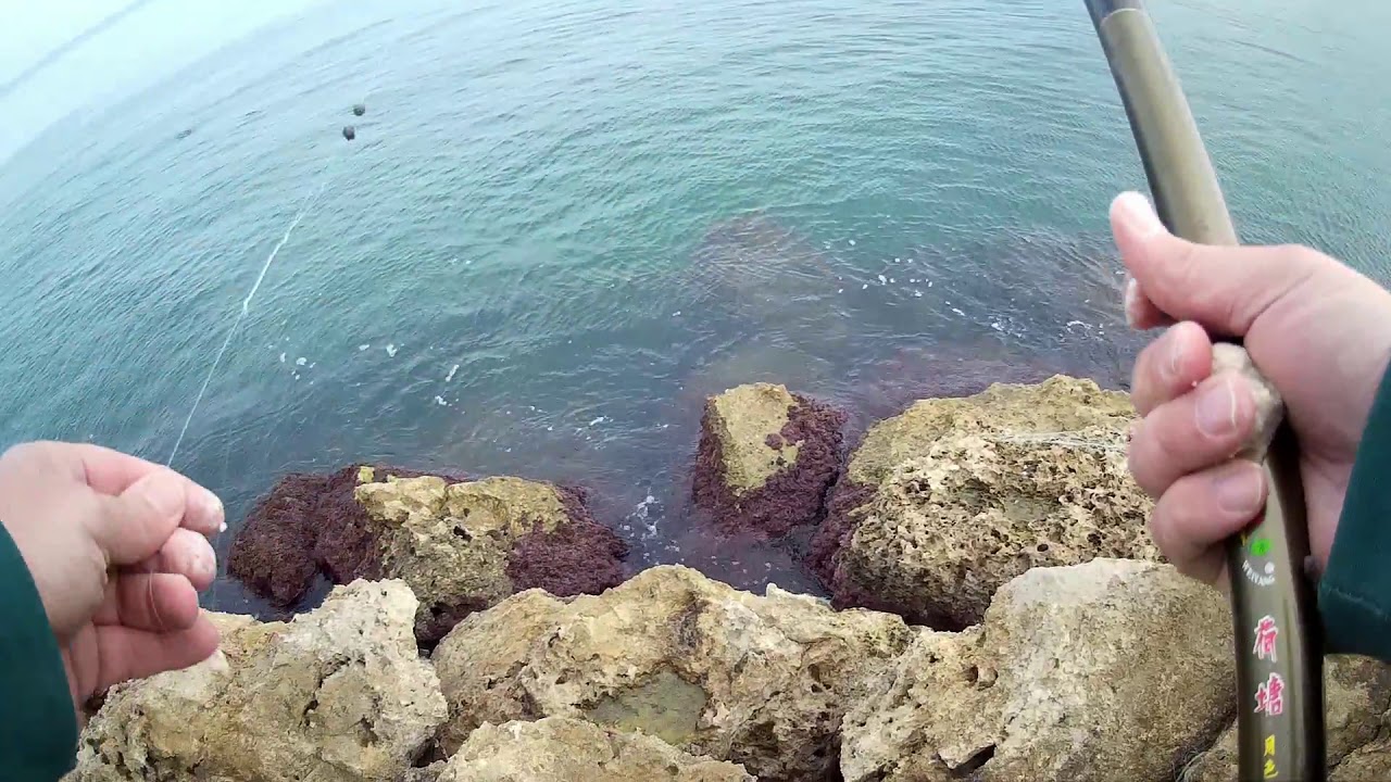 דיג ארסים בים עם חכת בוס הרבה זמן לא דגתי ככה בים מפלצת במרדף מזהים מה זה ?