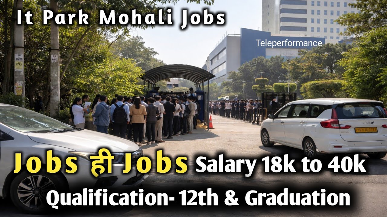 Jobs in IT Park Mohali | 12th & Graduation Base | Teleperformance | Knack Global | Alorica | BPO |