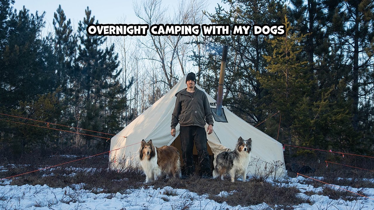 Overnight Camping With My Dogs - The Monty Returns