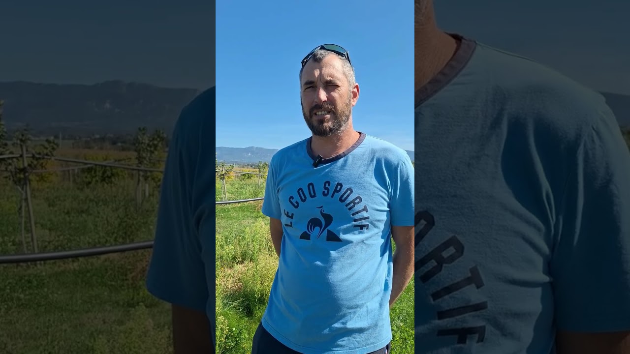 Témoignages arboriculteurs - groupe arbo Rhône