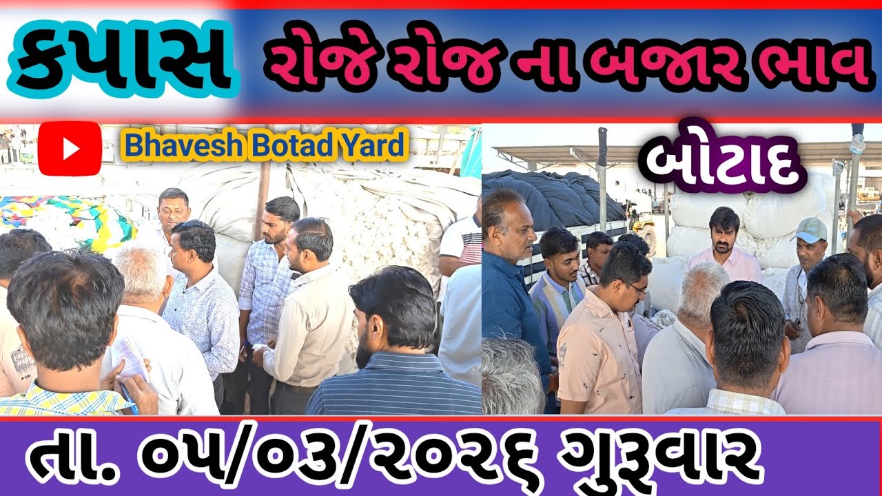 આજે બોટાદ યાર્ડ માં ખુબજ તેજી કપાસ મા 05/03/2026 || Botad Marketing Yard ||#bhaveshbotadyard