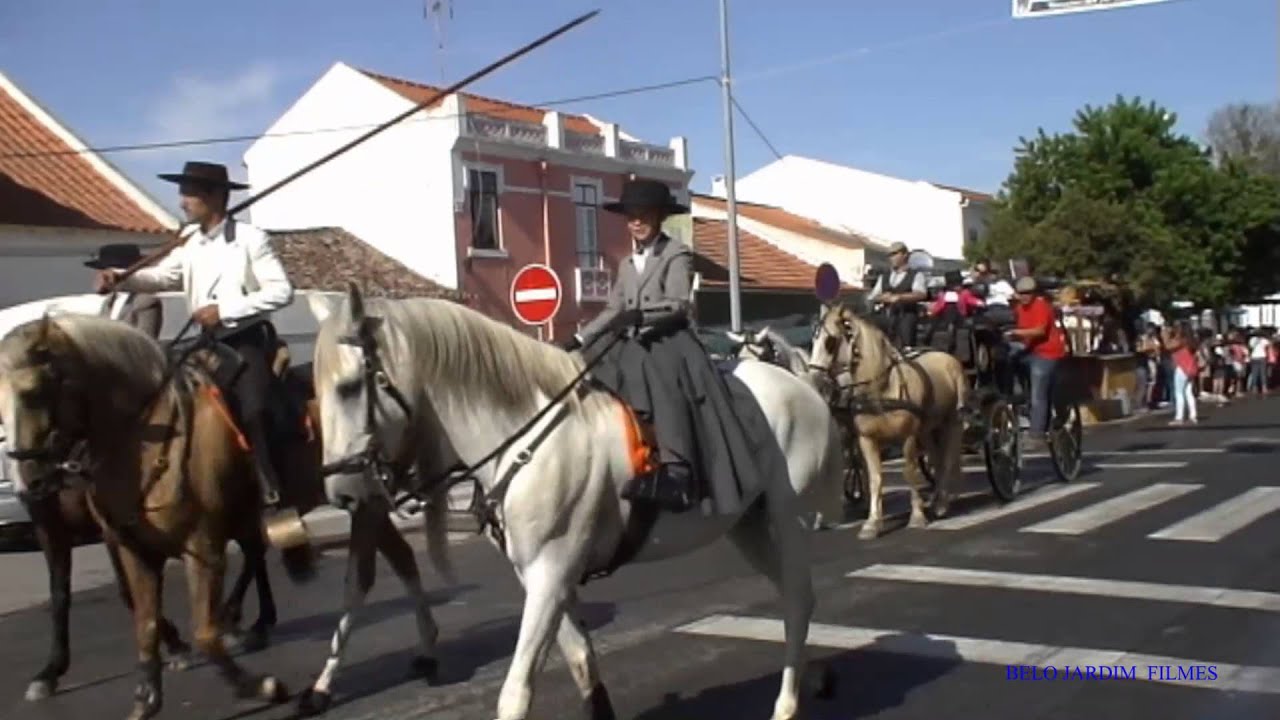 My Video  DESFILE TRADICIONAL FESTAS DE SANTO ESTÊVÃO 2015