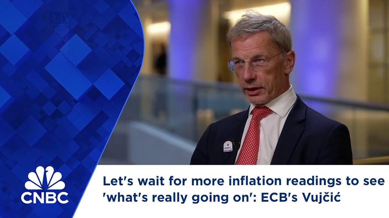 Let's wait for more inflation readings to see 'what's really going on': ECB's Vujčić