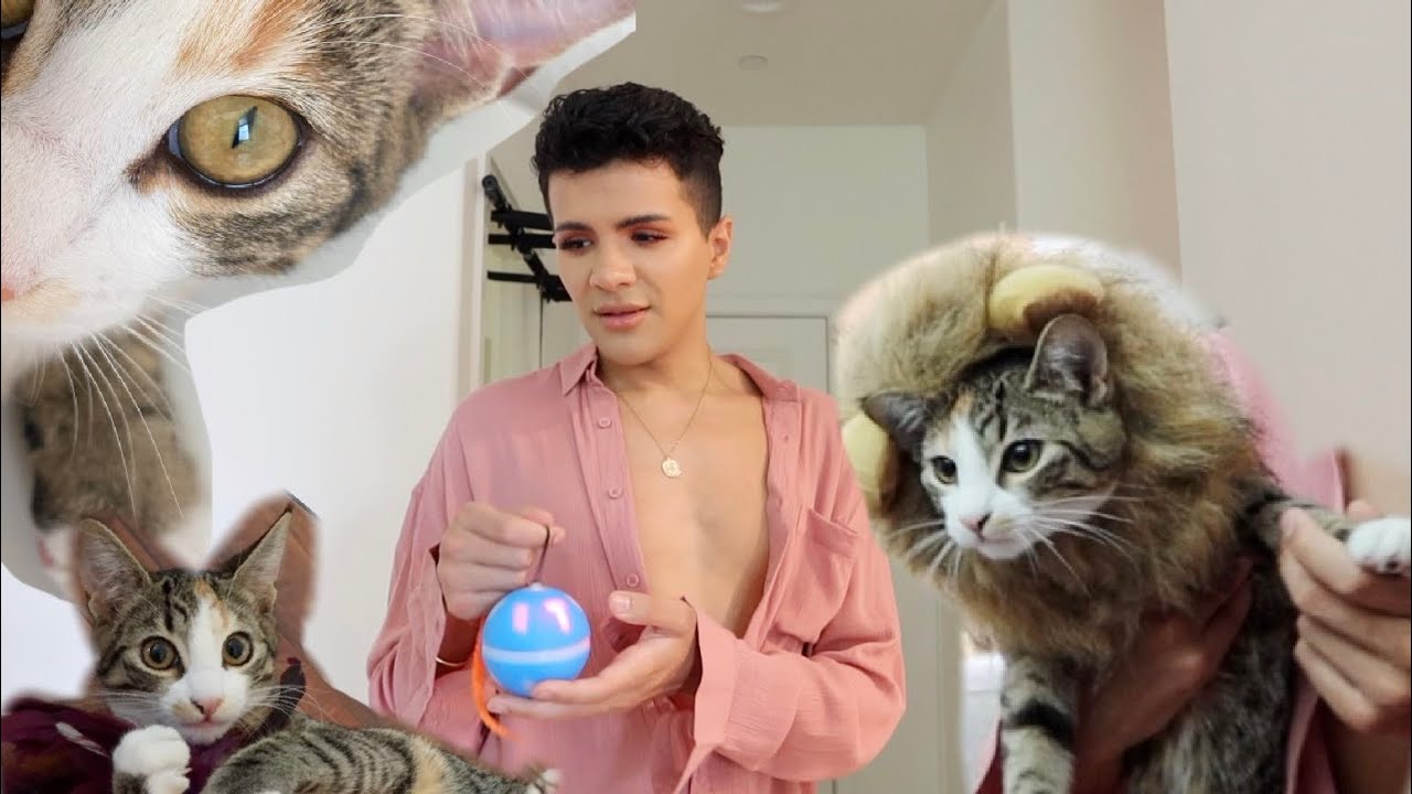 What I bought my Cat on Amazon | Gabriel Zamora