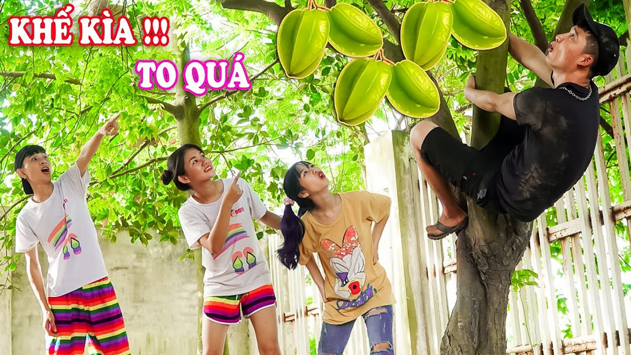 Siêu Trộm HẠT TIÊU Thử Thách Hái Khế Nhà HÀNG XÓM và CÁI KẾT - TÁO XANH TV