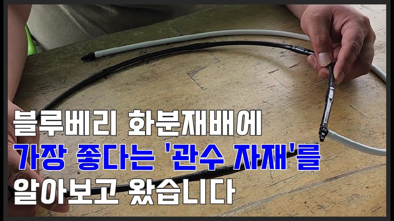 블루베리 화분재배에 가장 좋다는 관수 자재를 알아봤습니다