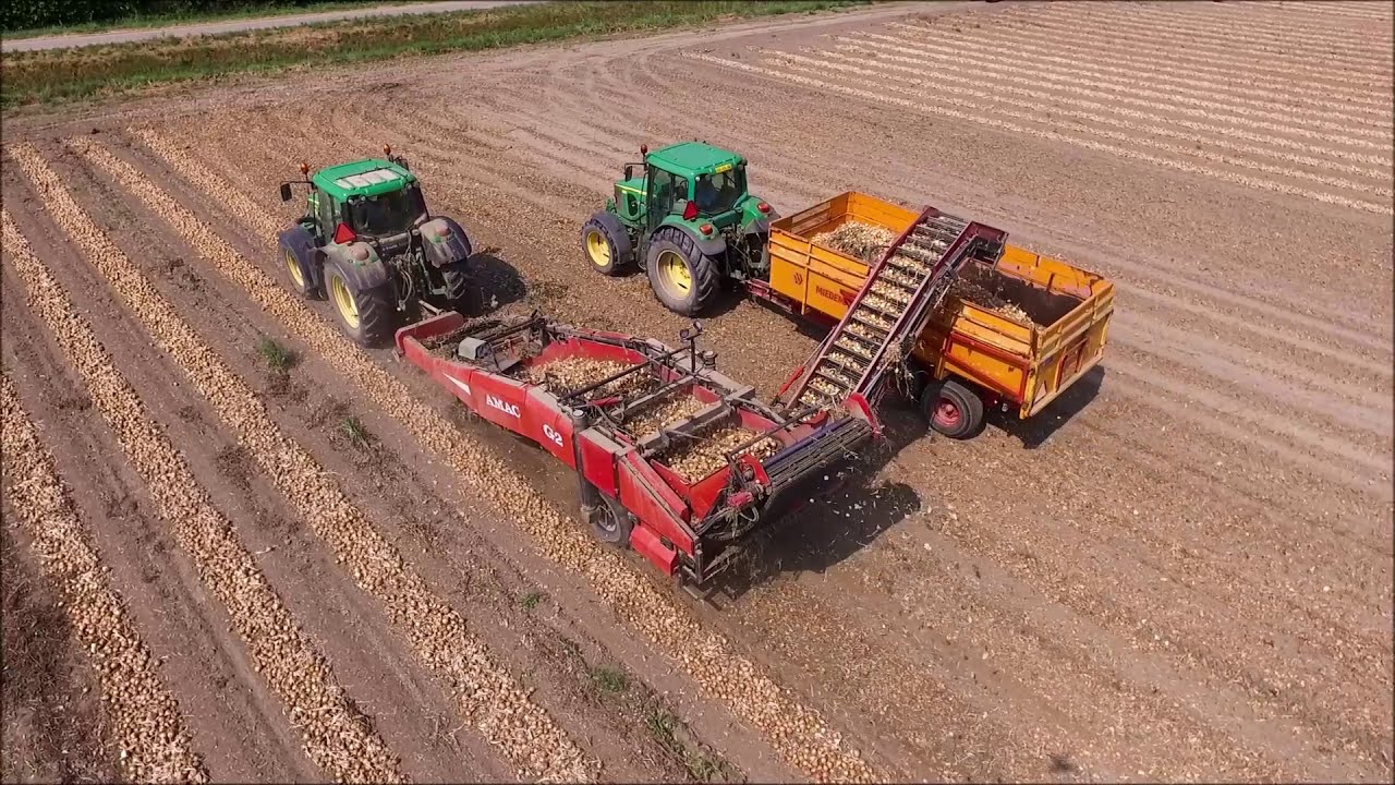 Uien oprapen / Harvesting onions / Zwiebeln ernten / John Deere / AMAC G2 / Miedema / Breston