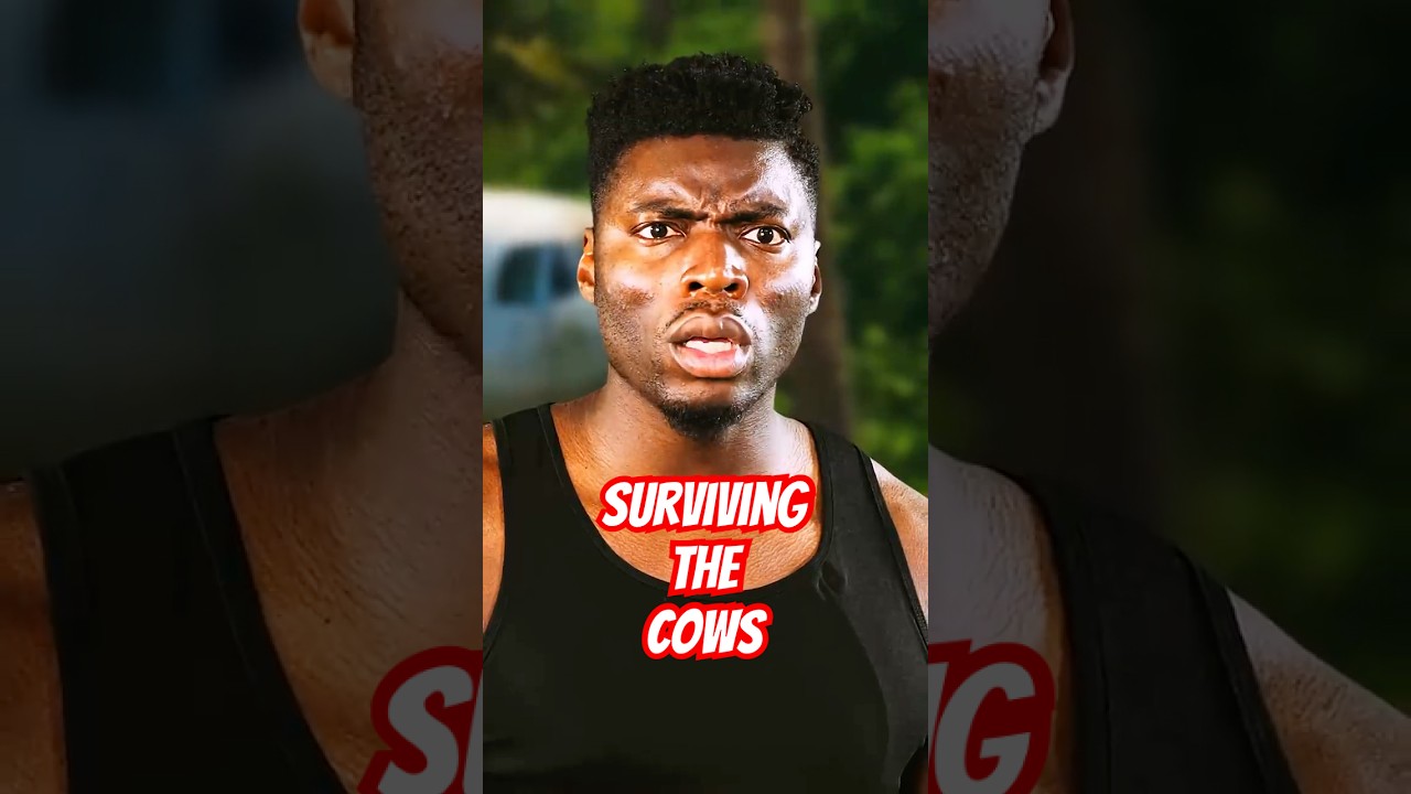 Surviving The Cows